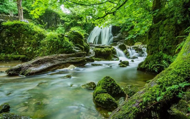 智慧高性能